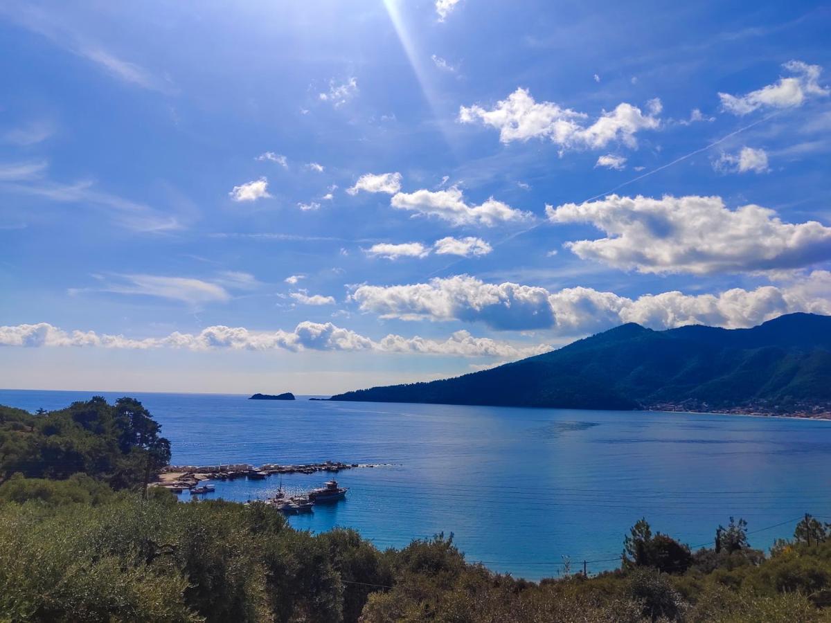 Celeste Golden Beach Криси Амудия Екстериор снимка